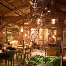 세종스파텔 이미지