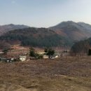 시짓는공인중개사사무소 이미지