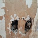 창신아파트 이미지