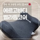 고우리세탁 | 100만뷰 찍은 이모란 골반 스트레칭, 에르고바디 벨라핌코어 내돈내산 솔직 후기