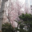 목련주유소 이미지