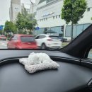 현대자동차 서하남로점 | [애플크래프트 송파점] 신차패키지 시공 후기