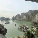 유영하는 언어-1 | 하노이 하롱베이 여행 당일 투어 크루즈 패키지 비용