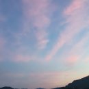 기배기 네이버블로그