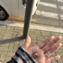 꽃샘길 화장실 네이버블로그
