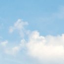 뉴본정형외과의원 이미지