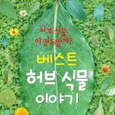 베스트허브 이미지