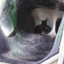 동경정비 이미지