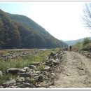 퇴계선생시 이미지