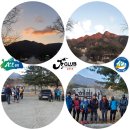 금잔디상회 이미지