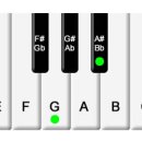 통기타(초급B) 이미지