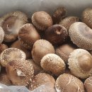 미래농장2 이미지