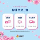 강화 봄 콘서트 이미지