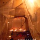 나비바(Bar)