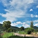 뭉개구름 이미지