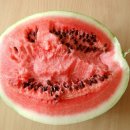 수박씨 이미지