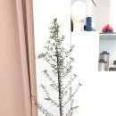 올리브나무학원 이미지