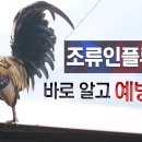형이농장 이미지
