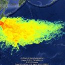 생태세상 이미지