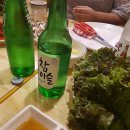 카사노바에리켄넬 이미지