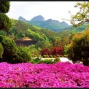 동산잔디 이미지