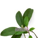 (주)윈터그린 이미지