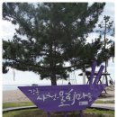 어부횟집민박 네이버블로그