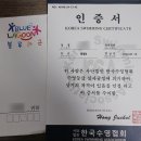 블루라군수영장 | 서울 어린이수영장/ 블루라군 송파점에서의 2년 수영레슨 후기