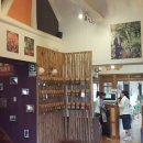 초코약국 이미지