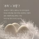 하나님의교회에서 알려주는 부활절과 잘못된 풍습 이미지