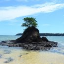 100-4-000004 이미지