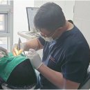 새롬탑치과의원 이미지