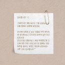 씨앗과나무