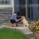 금마면행정복지센터 이미지