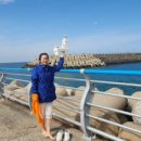 이호발전소 이미지