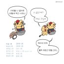 포마차 이미지