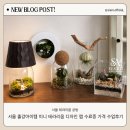 서울 출강아이템 미니 테라리움 디자인랩 수료증 가격 수업후기