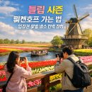 밀리스플라워 - 아산시 서부남로 844 | 튤립 시즌 쾨켄호프 가는 법 입장권 꽃밭 명소 완벽 정리