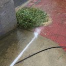 차룡단지로 이미지