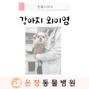 온정동물병원 이미지
