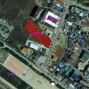 풍기토종인삼시장 이미지