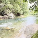 마이웨이 비발디 관광펜션 | [양평 화수목펜션] 소리산 계곡 바로 앞, 비발디파크 근처 가성비 좋은 펜션후기 내돈내산.