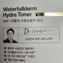 닥터트웬티프로젝트 워터풀덤 하이드라 토너(후기)