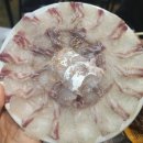 거제 소노캄 근처 회 맛집 추천! 해림호회포차 지세포본점 솔직 후기
