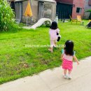 디토키즈풀빌라 이미지