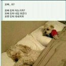 리미지건축사사무소 이미지