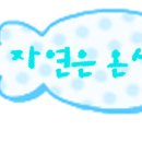 신둔초등학교 이미지