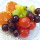 가톨릭대학교 임상간호대학원 이미지