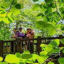 산의향기 네이버블로그
