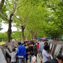 그늘막123 이미지